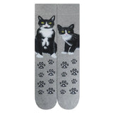 Cats Tuxedo