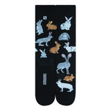 Chaossocks Rabbits and Hares