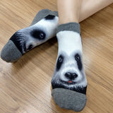 Ankle Socks Wild Life Panda