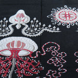 Masterpiece Haeckel Anthomedusae