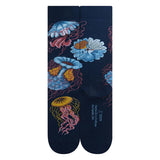 Masterpiece Haeckel Discomedusae