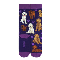 Chaossocks Dogs Golden Doodle