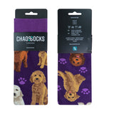 Chaossocks Dogs Golden Doodle