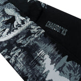 Chaossocks Western Dragon