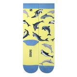 Chaossocks Dolphin
