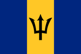 Flag Socks - Barbados