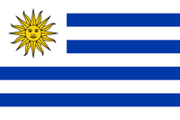 Flag Socks - Uruguay