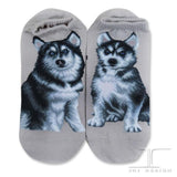 Ankle Socks Husky Dog