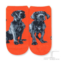 Ankle Socks - Great Dane Dog