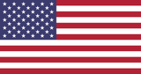 Flag Socks - USA - HummingBird