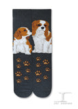 Dogs - Cavalier King Charles Socks