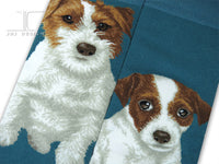 Dogs - Jack Russell Terrier