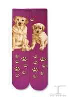 Dogs - Labrador Socks