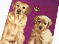 Dogs - Labrador Socks