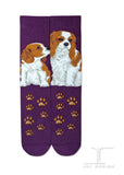 Dogs - Cavalier King Charles Socks