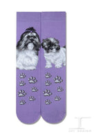 Dogs - Shih Tzu