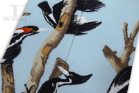 Birds - Wood Pecker